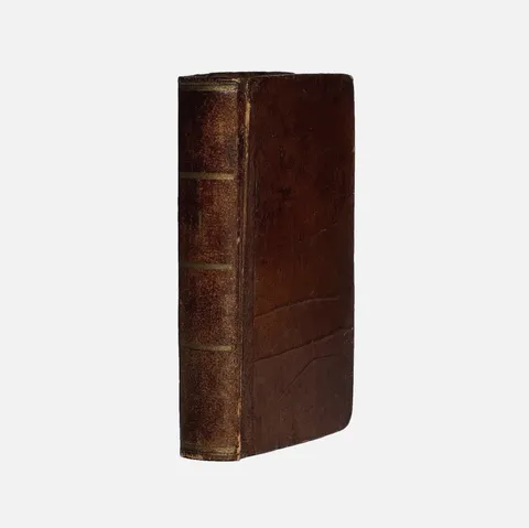 spine