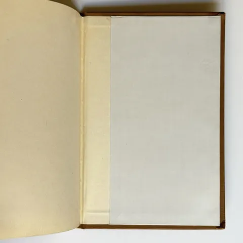 Charter and Ordinances of the City of Reno